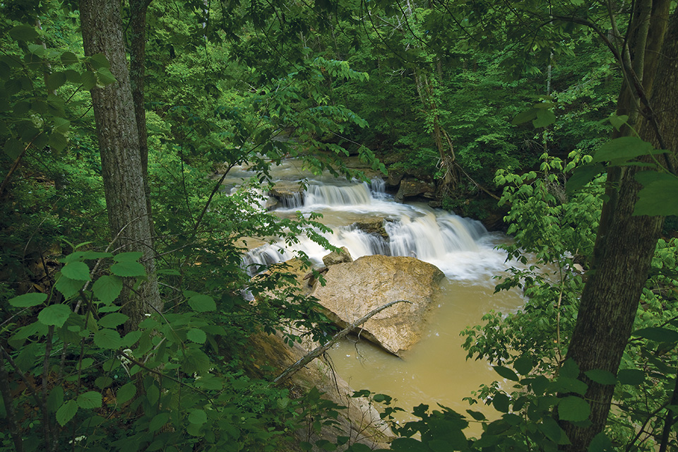 Helen C. Black Trail (photo courtesy of The Nature Conservancy)