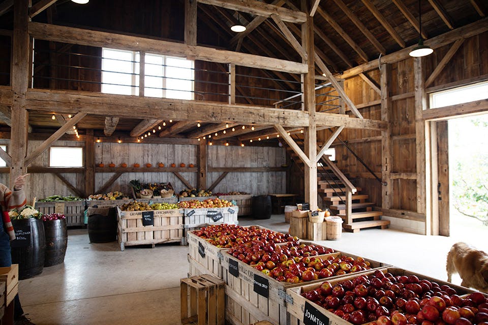 Featured image of post How to Make Sweet Apple Farms Ohio