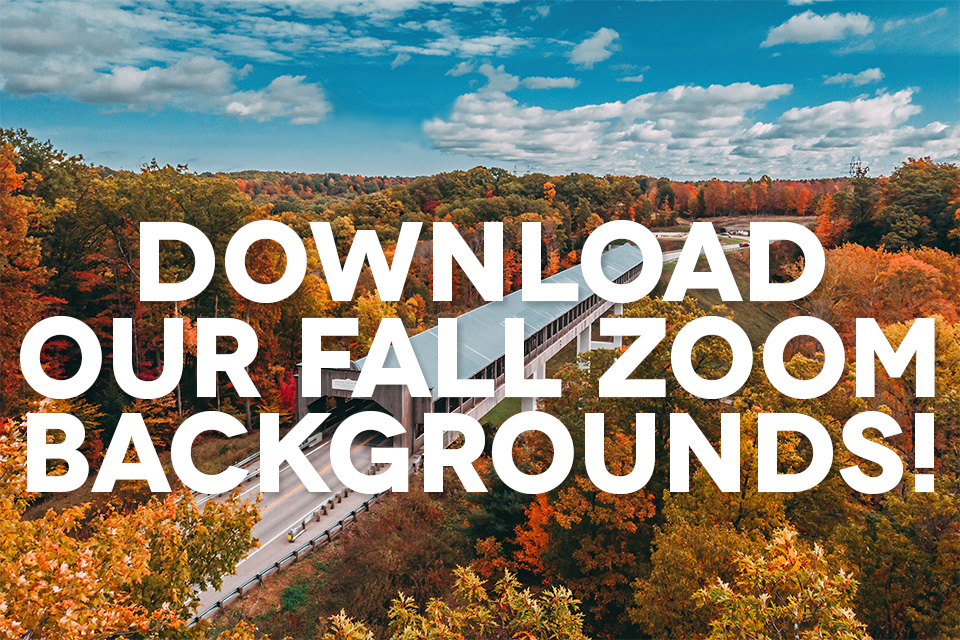 fall virtual backgrounds for zoom
