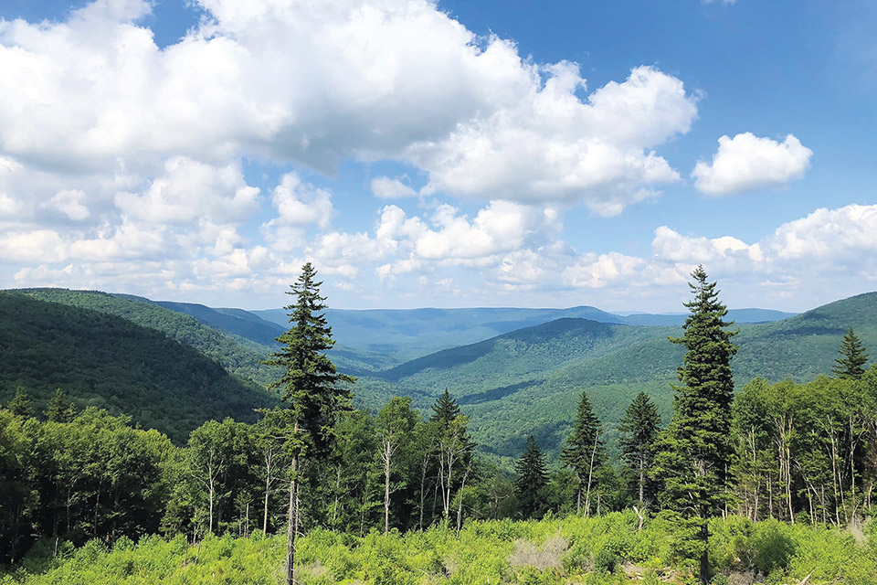 Williams River Overlook off the Highland Scenic Highway (photo by Kelly Bridges/National Forest Service)