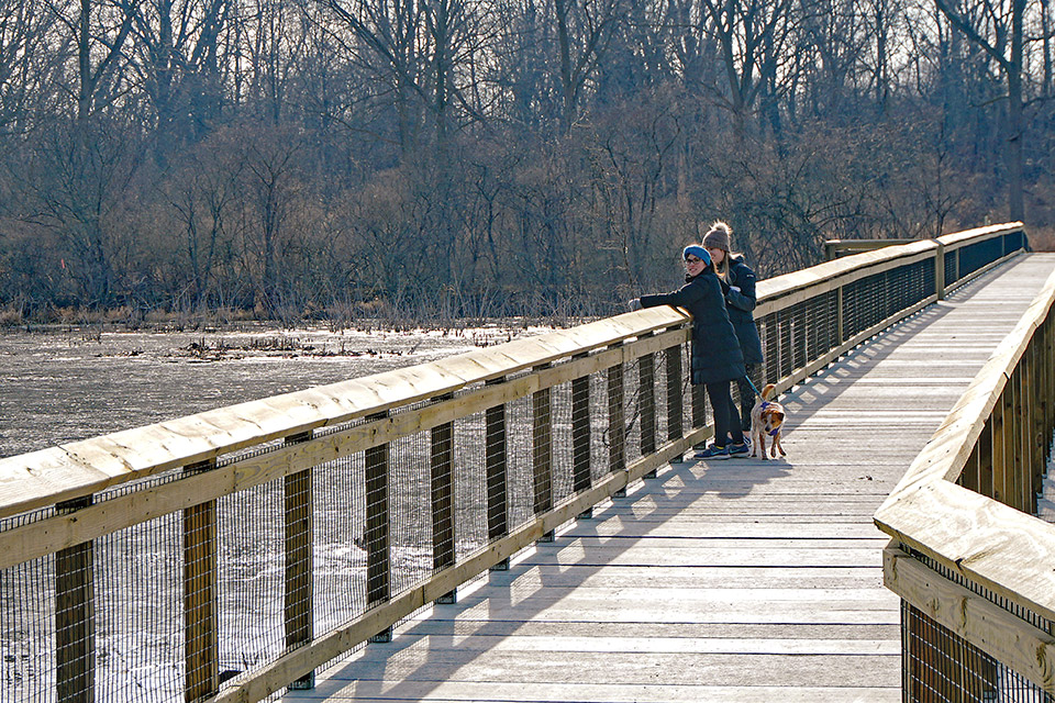 Manhattan Marsh Preserve Metropark boardwalk (courtesy of Metroparks Toledo)