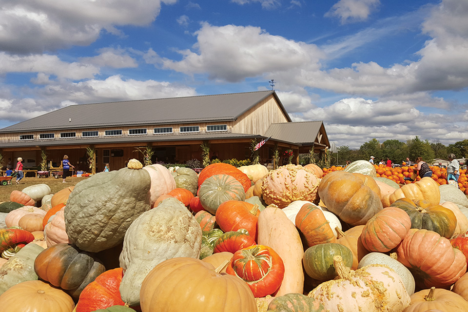 15 Ohio Pumpkin Patches & Farms