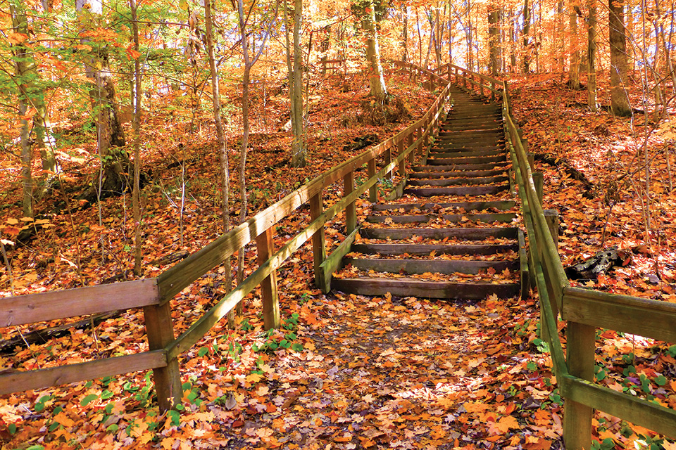 fall-fun-in-columbus