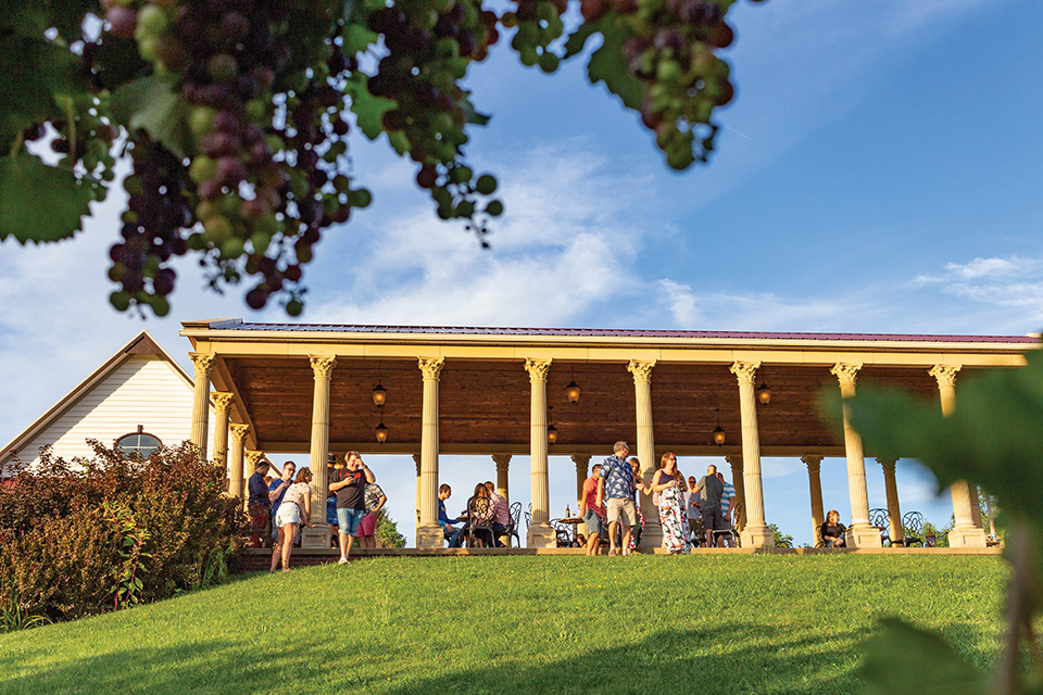 South River Vineyard pavilion (photo courtesy of South River Vineyard)