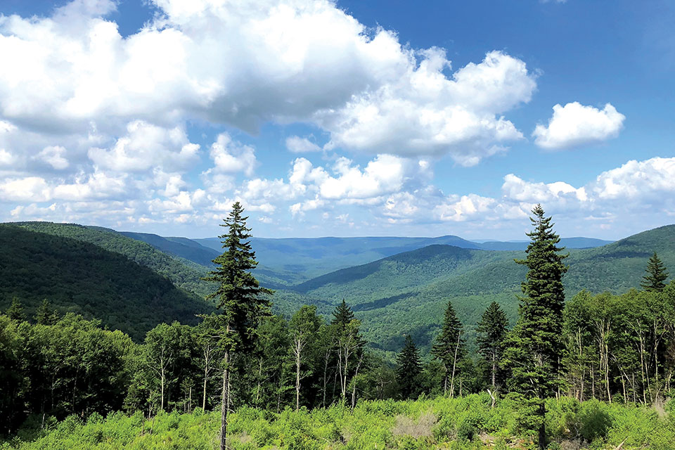 Highland Scenic Highway view (photo courtesy of National Forest Service)