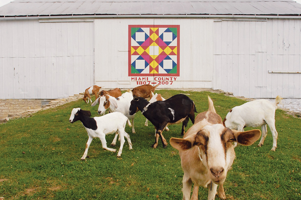 Miami County “Joseph's Coat” barn quilt (photo by Miami County Convention and Visitors Bureau)