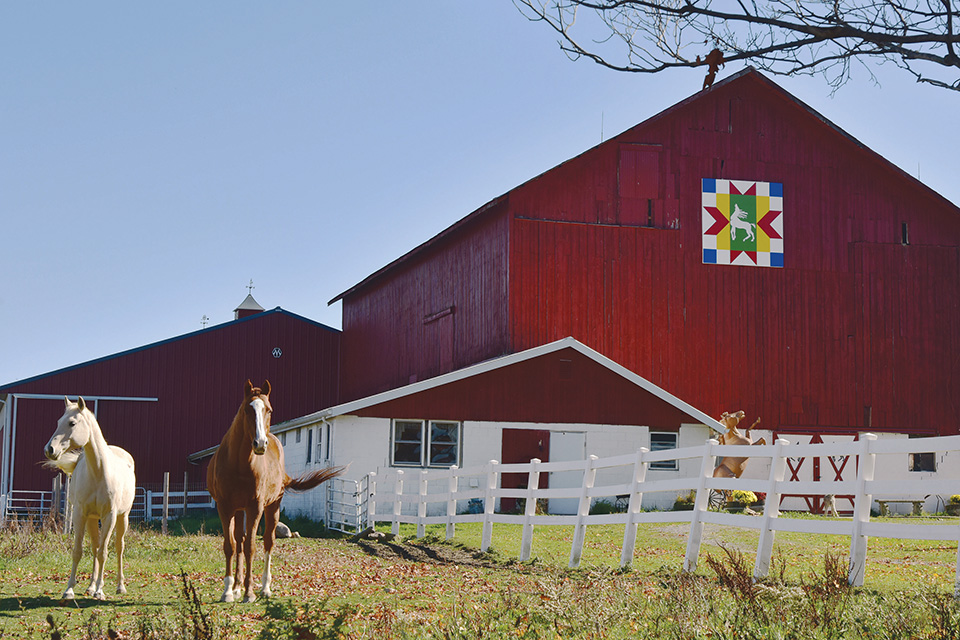Ashtabula County “Windhorse” barn quilt (photo by Carl Feather)