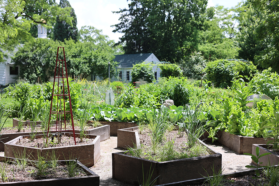 Community garden at Perrysburg’s 577 Foundation (photo by Rachael Jirousek)