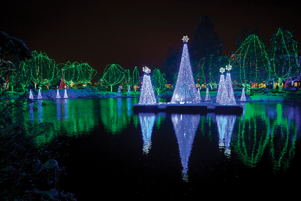 Illuminated tree displays in the middle of the water during Wildlights at the Columbus Zoo (photo courtesy of Experience Columbus)