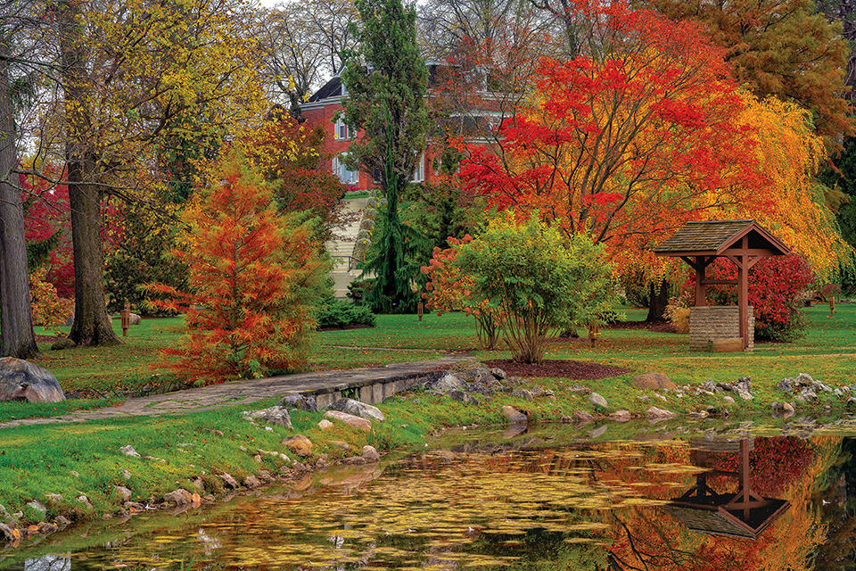 A pond and colorful trees at Schedel Arboretum & Gardens in Elmore during the fall (photo by Jamieson Mooseman)