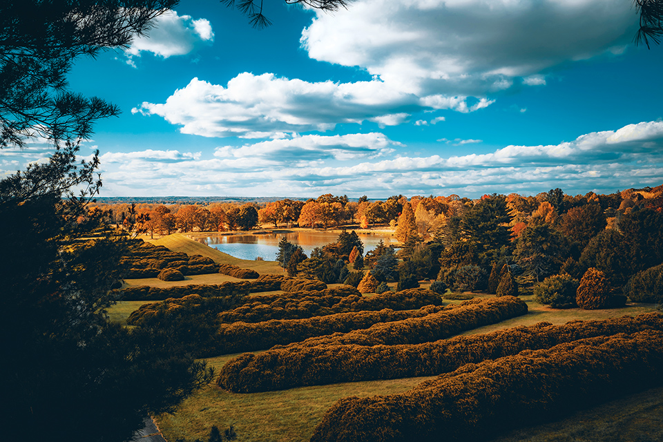 Panoramic view of fall trees at The Dawes Arboretum in Newark (photo by Jordan Dean)