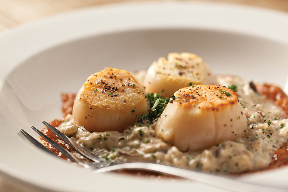Scallops at Kindred Spirits in Logan (photo courtesy of Kindred Spirits)
