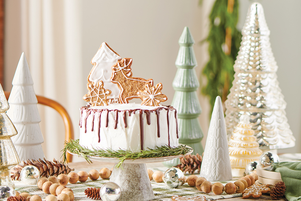Chocolate peppermint cake (photo by Megann Galehouse, food styling by Katy Hale, set styling by Megan McLaughlin)