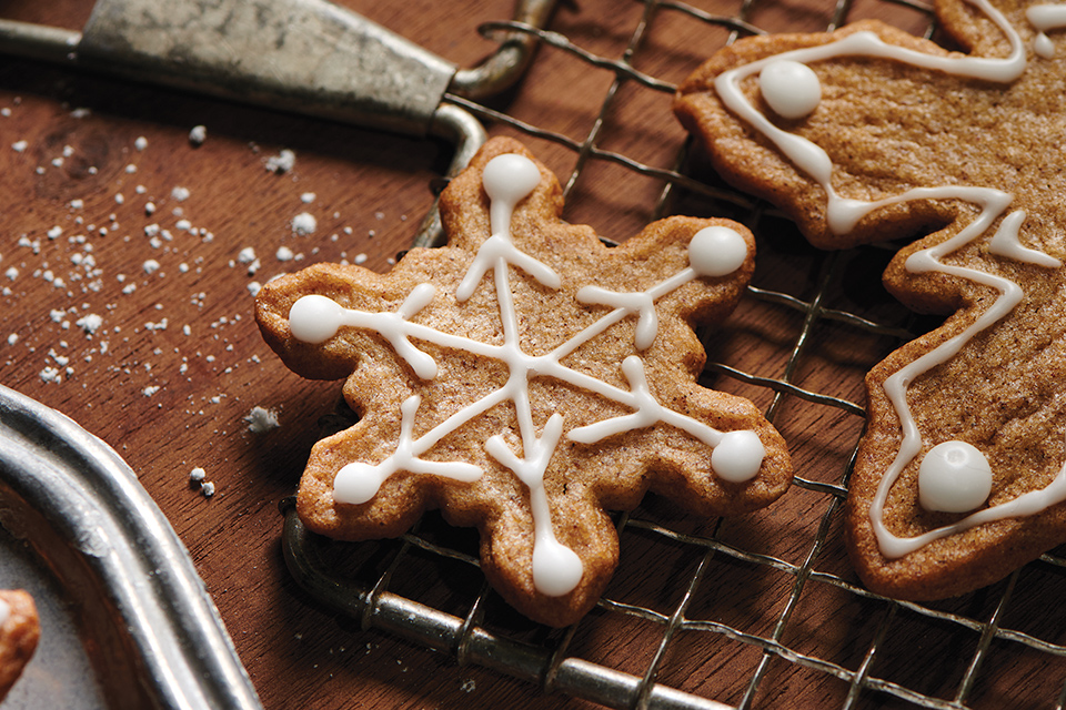 Decorated gingerbread cookies (photo by Megann Galehouse, food styling by Katy Hale, set styling by Megan McLaughlin)