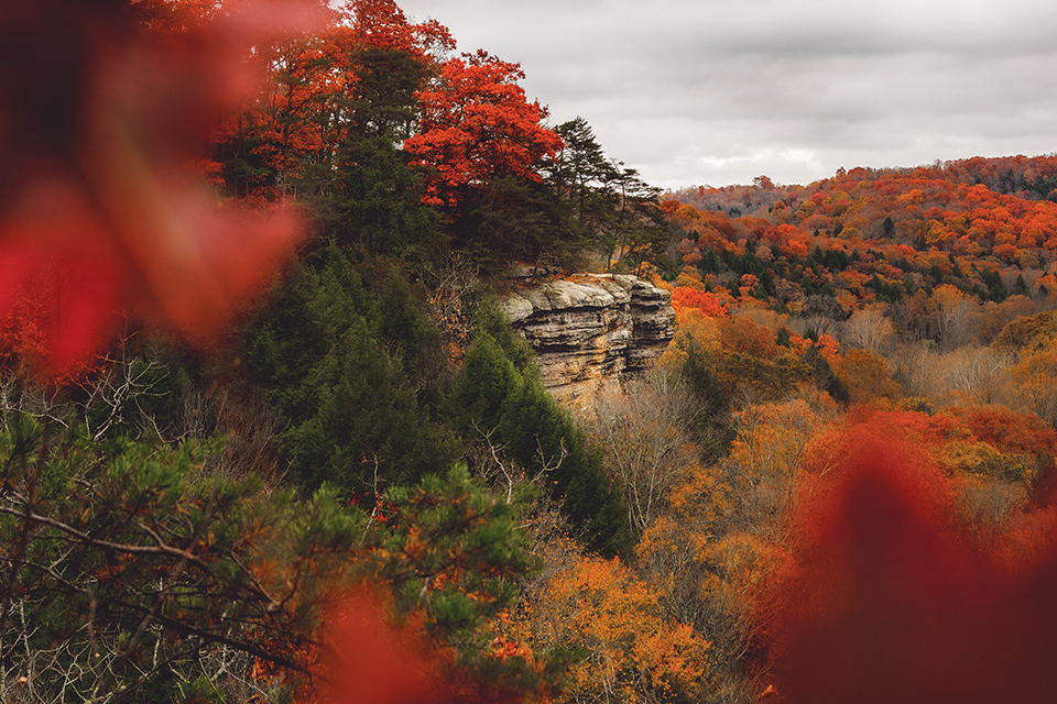 Scenic view of Conkle’s Hollow in Hocking Hills (photo by Jessica Wilschek)
