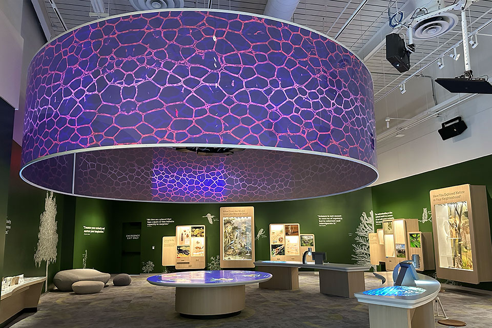 Ames Family Curiosity Center at Cleveland Museum of Natural History (photo by Jim Vickers)