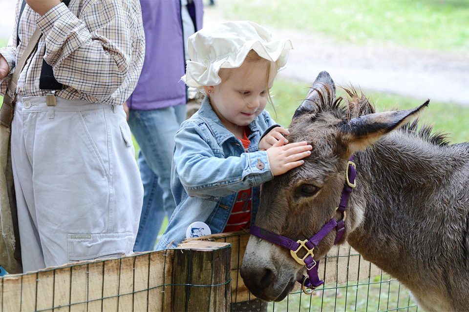 Girl petting animals at Yankee Peddler Festival