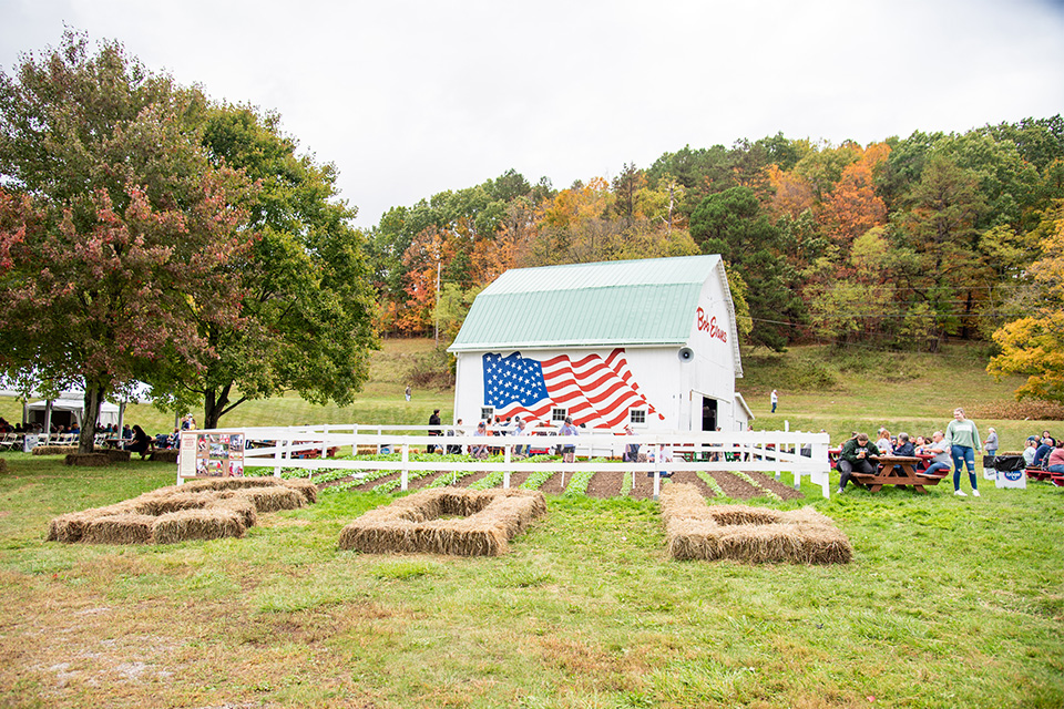 Bob Evans Farm Fest (courtesy of Fahlgren Mortine)