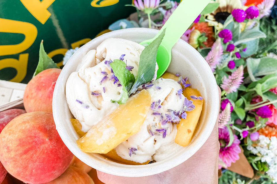 Peach ice cream from Mitchell's at Peaches and Cream (photo courtesy of Quarry Hill Orchards)