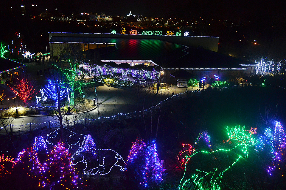 Akron Wild Lights (courtesy of Akron Zoo)