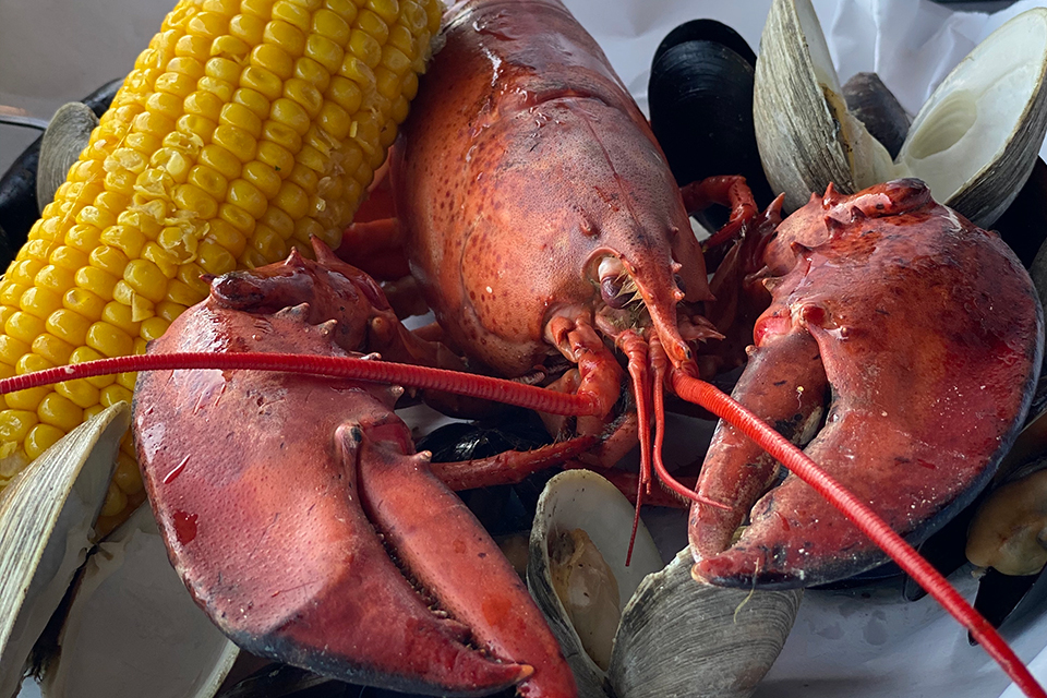 Lobster and corn at Pickle Bill’s Lobster House in Grand River (photo by KC Media)