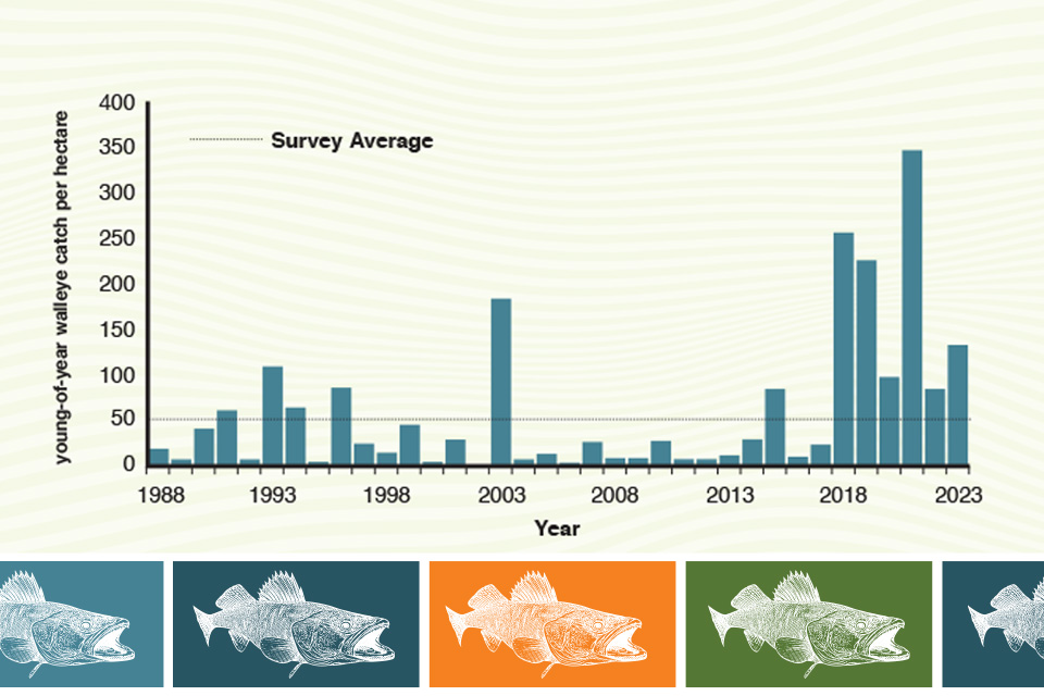 Walleye Hatch Chart (by Jessa Hendershot, based on chart provided by Ohio Division of Wildlife)