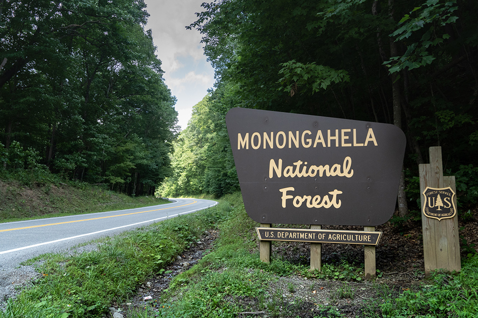 Monongahela National Forest sign in Elkins, West Virginia (photo courtesy of Elkins-Randolph County Tourism)