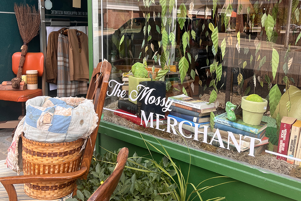 The Mossy Merchant window display in Elkins, West Virginia (photo courtesy of Elkins-Randolph County Tourism)