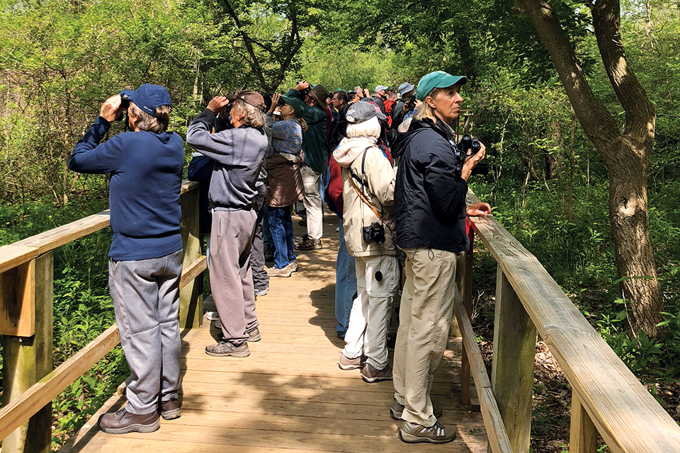 People bird-watching on Magee Marsh boardwalk in Oak Harbor (photo by Robyn Elman and Paul Steil / A Couple Without Borders)