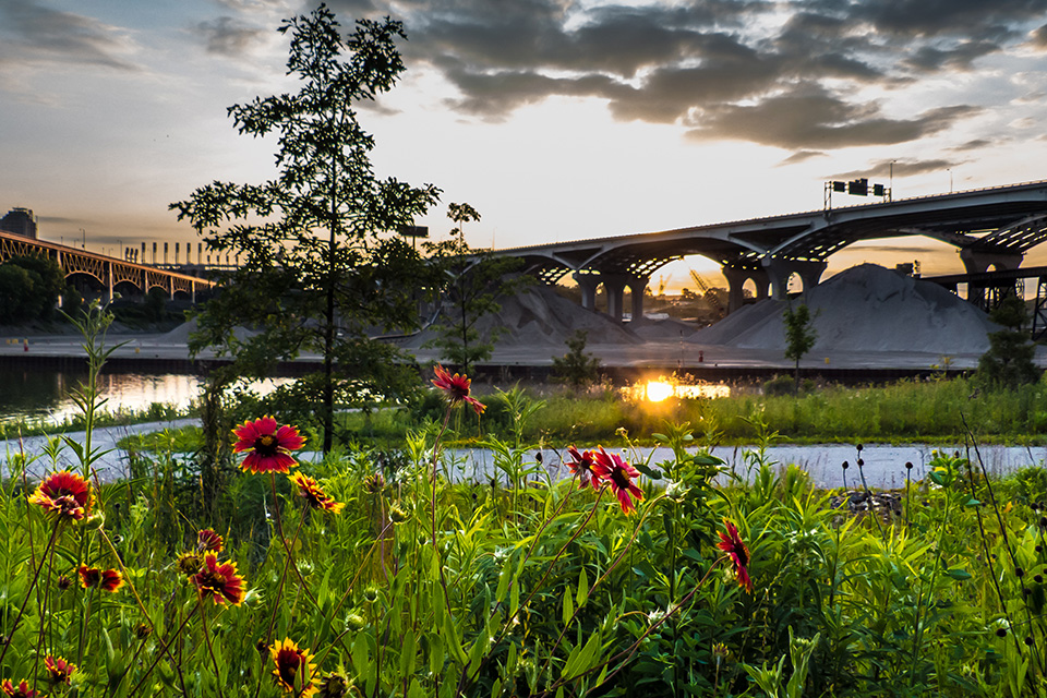 Flowers by Scranton Flats on the Ohio & Erie Canal Towpath Trail (photo courtesy of Ohio & Erie Canalway)