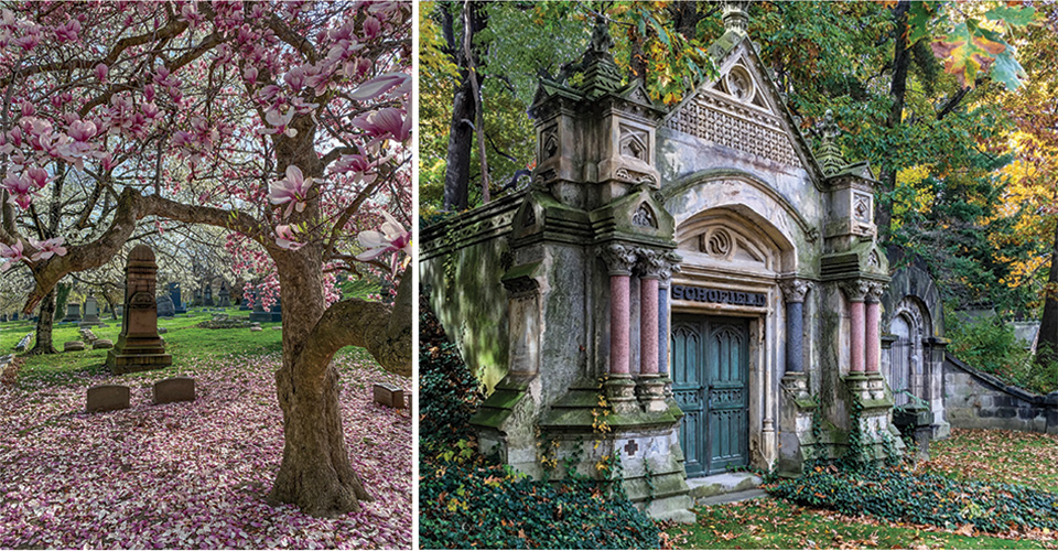 Magnolia tree and Scofield Mausoleum at Lake View Cemetery in Cuyahoga County (photos by Ian Adams)