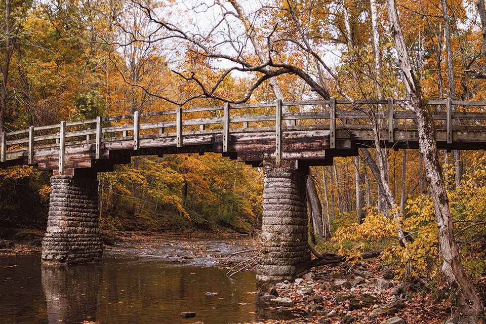 Bridge at John Bryan State Park in Yellow Springs (photo by Nathan Racz)