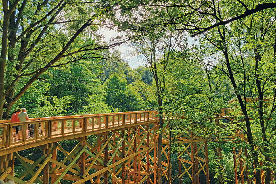 People on Blacklick Woods Metro Park Canopy Walk in Reynoldsburg (photo by Jack Rockwood)