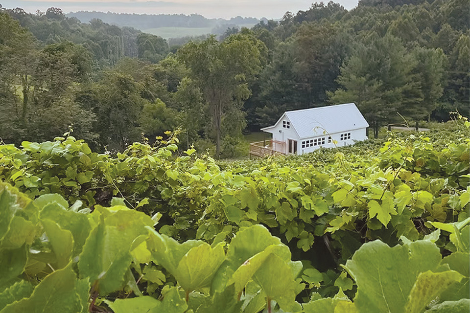 Winery Cottage at Le Petit Chevalier Vineyards and Farm Winery in Creola (photo courtesy of Le Petit Chevalier Vineyards and Farm Winery)