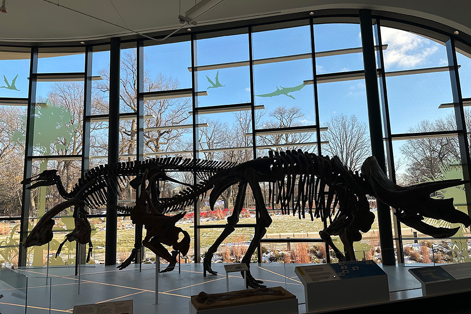 Dinosaurs at the Cleveland Museum of Natural History (photo by Jim Vickers)