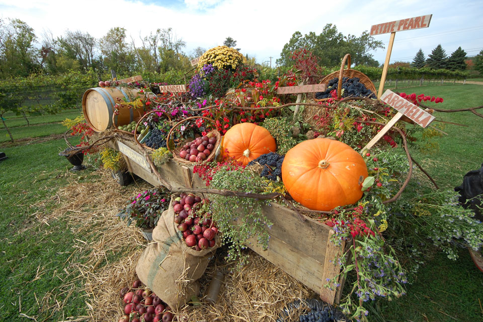 Festa Gervasi Grape Harvest Festival & Market