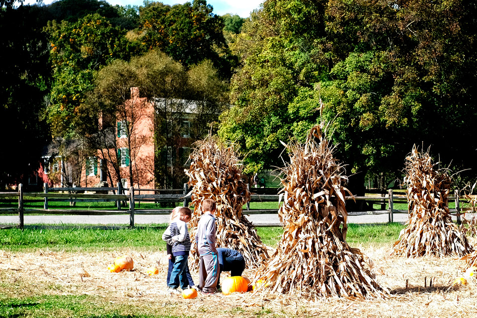 Hale Farm & Village Harvest Festival