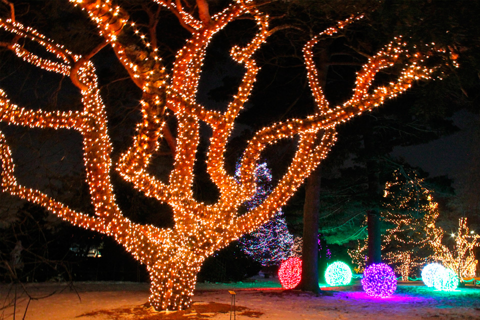 Lights Before Christmas