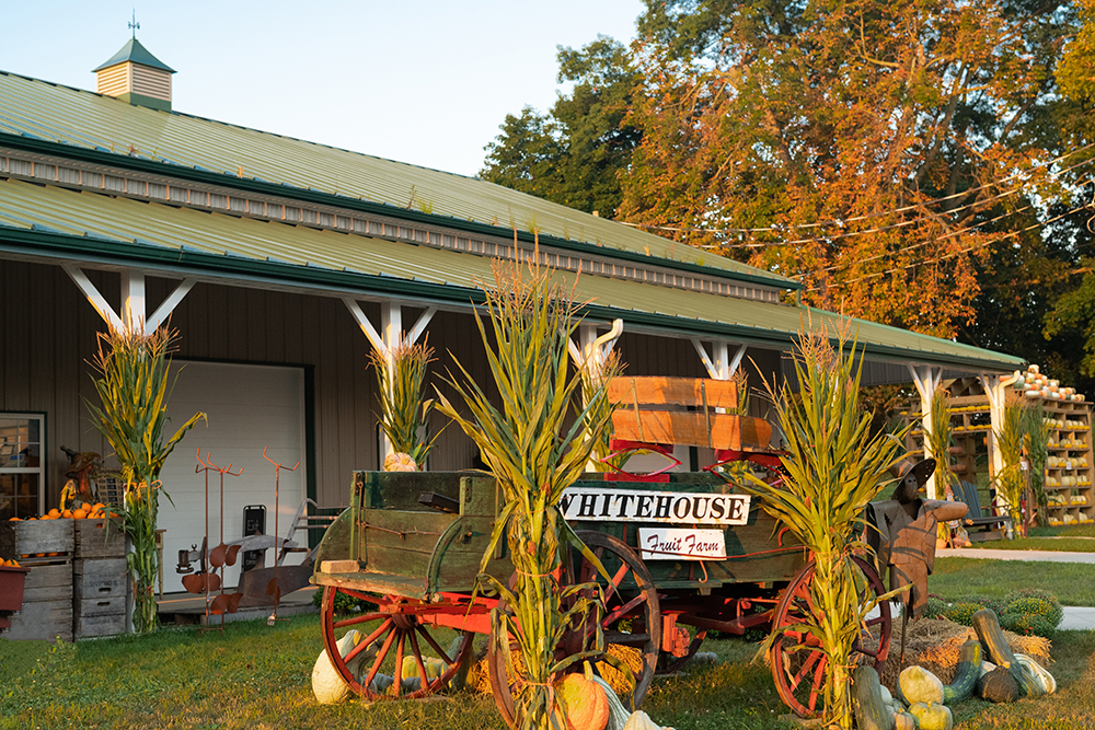white house fruit farm