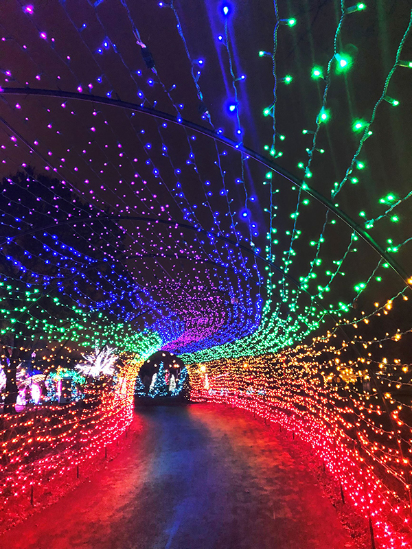 Franklin Park Conservatory Aglow