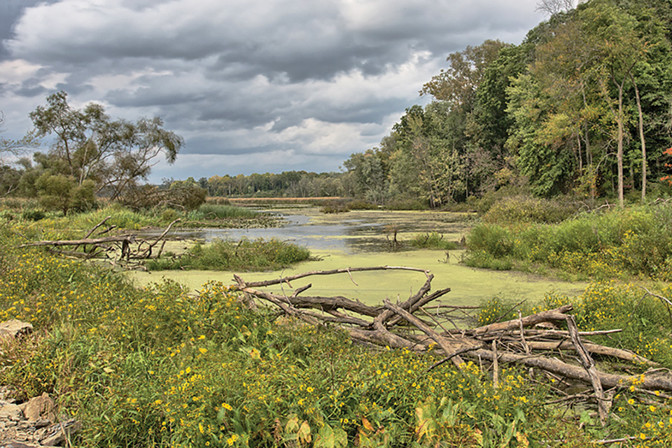 Killbuck Marsh Wildlife Area (photo courtesy of Wayne County Convention and Visitors Bureau)