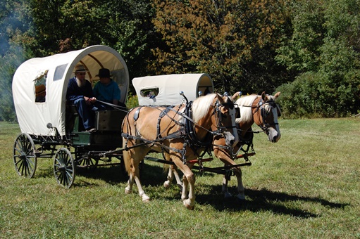 Log Cabin Days (11)